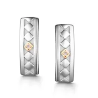 Серебряные серьги с бриллиантом