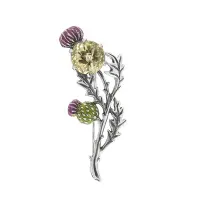 Брошь из серебра с эмалью и цитрином «Чертополох» Брошь из серебра с эмалью и цитрином «Чертополох»