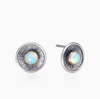 Серебряные серьги «Небесный Диск»