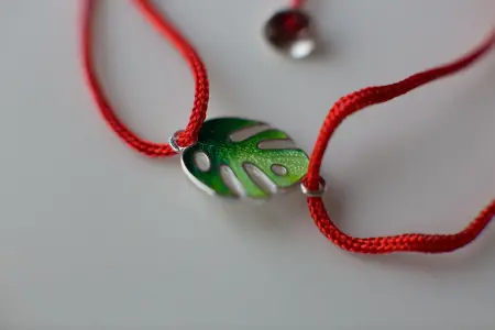 Красная нить «Монстера»