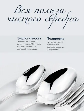 Серебряный набор «Афина» 6 чайных ложек