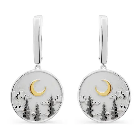 Серебряные серьги «Месяц»