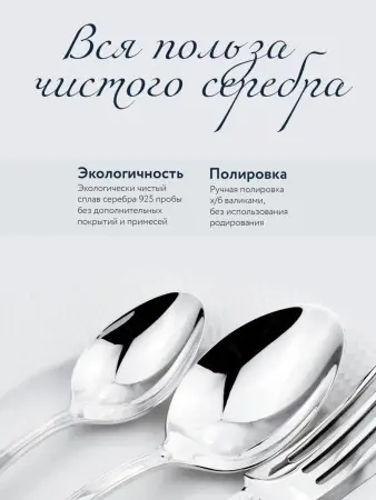 Серебряная чайная ложка «Фаворит»