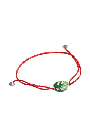 Красная нить «Монстера»