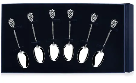 Серебряный набор «Меценат» 6 чайных ложек