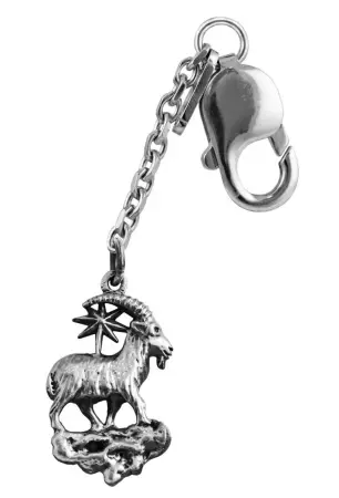 Серебряный брелок для ключей «Зодиак Козерог»