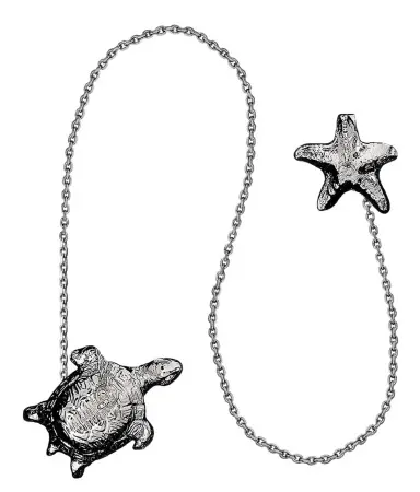 Серебряный ионизатор воды «Черепаха»