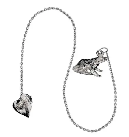 Серебряный ионизатор воды «Царевна Лягушка»