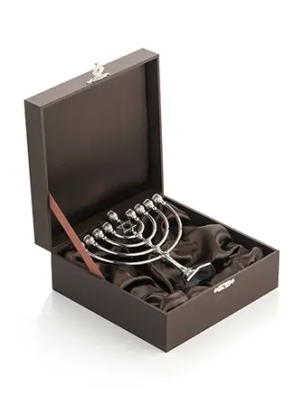 Ханукия серебряная