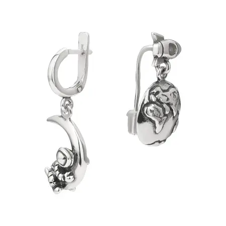 Серьги из серебра «Земля в иллюминаторе»