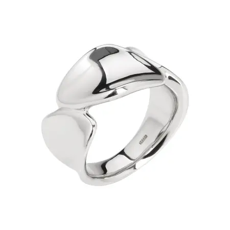 Серебряное кольцо