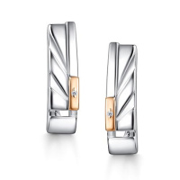 Серьги из серебра с бриллиантами Серьги из серебра с бриллиантами