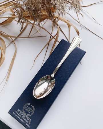 Ложка чайная из серебра «Меридиан»
