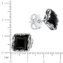 Серебряные серьги гвоздики с ониксом