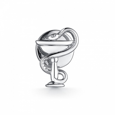 Серебряная брошь «Чаша со змеей»