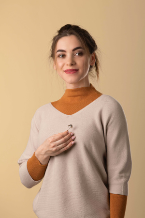 Серебряная брошь «Жук»