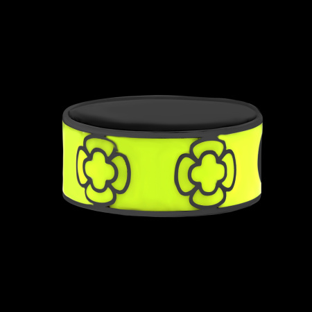 Серебряное кольцо с эмалью