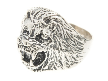 Серебряное кольцо