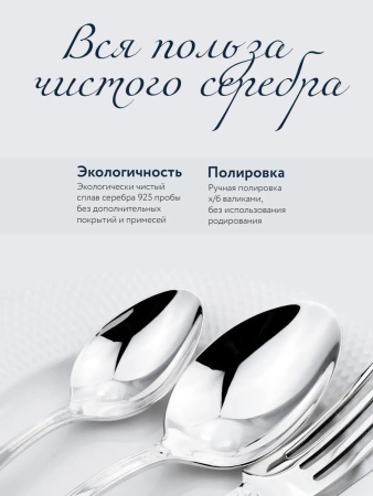 Серебряная десертная ложка «Фаворит»