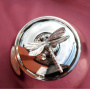 Сахарница серебряная «Стрекоза»