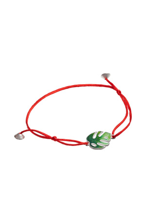 Красная нить «Монстера»