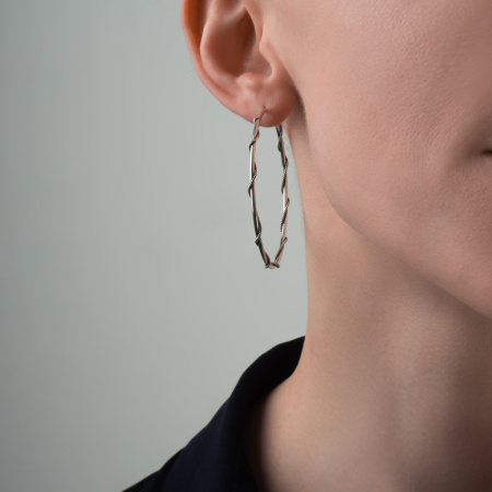 Серебряные серьги кольца