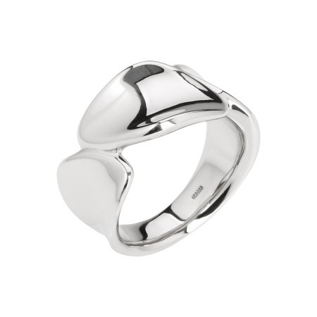 Серебряное кольцо
